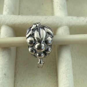 Pandora grape charm